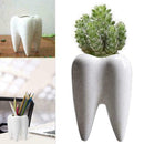 Cute Tooth Shaped Ceramic Succulent Cactus Flower Pot Furnishings` Home T2D9