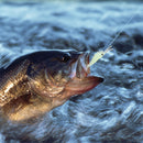 Luminous shrimp soft lure 3 cm fluorescent glow rubber artificial bait wobbler