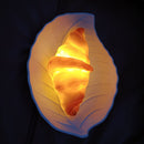 Light Cake Simulation Bread LED Night Lamp Baking Room Gift (Croissant) Newly