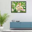 5D Diamond Painting DIY rabbit Full Round Drill Mosaic Art