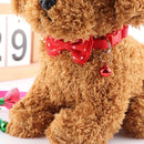 Pet Supplies Cat Accessories Kitten Necklace Cat Collars Dog Collar Adjustable