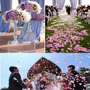 Table Decoration Wedding Party Throwing Rose Petals Love Heart Padded Fabric