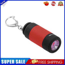 LED Mini Flashlight Portable Key Chain Outdoor Camping Hiking Torch (Red)