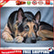 DIY Diamond Painting Dog Cross Stitch Rhinestone Embroidery Mosaic Kit