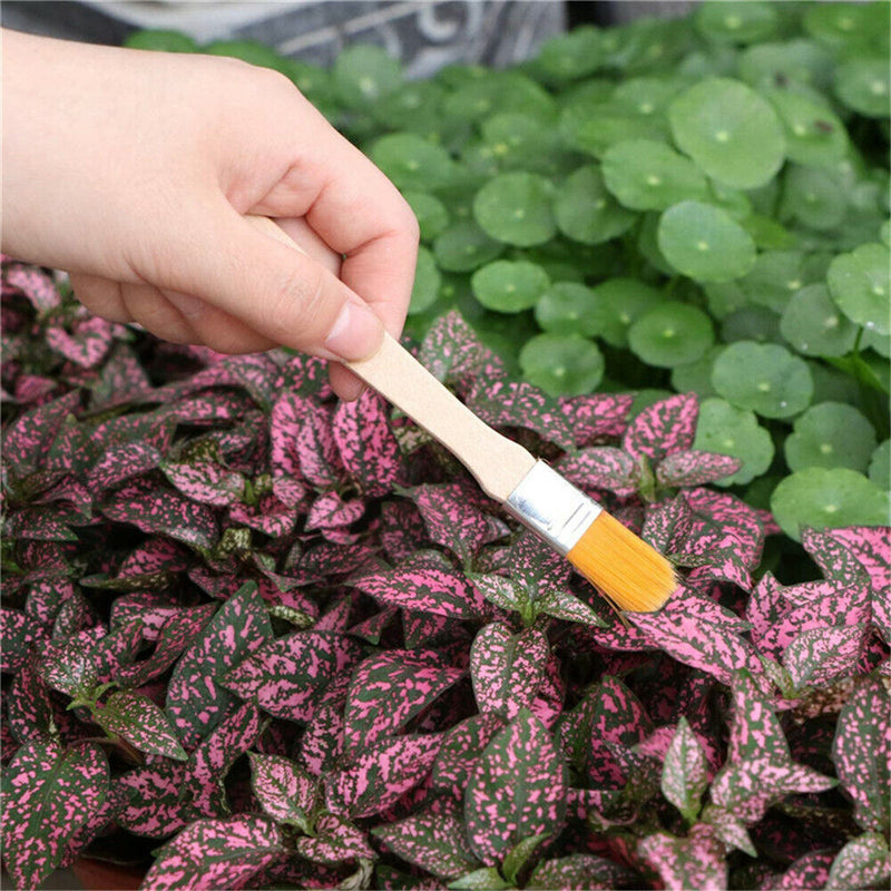 Digging Tool Gardening Tools Kit Plant Transplant Tool Basic Bonsai Tools
