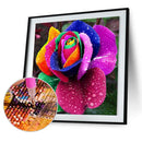 5D DIY Part Drill Diamond Painting Colorful Flower Cross Stitch Embroidery Newly