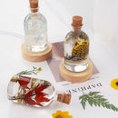 DIY Crystal Silicone Mold Night Light LED Lamp Holder Bottle Stopper Mould