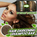 Hair Reverse Hair Darkening Shampoo Bar Soap Hair Shampoo Polygonum Essence