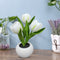 #A LED Flower Night Light Simulation Tulip Flowerpot Potted Plant Atmosphere Lam