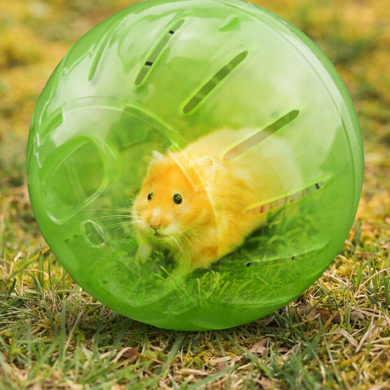 Pet Mini Jogging Ball Hamster Exercise Plastic Clear Trot Ball Toys (Green)