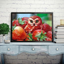 Strawberry Owl Diamond Painting Kits Full Round Drill Home Wall Decor Art Craft