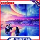 Aurora Oil Paint By Numbers Kits Canvas Picture Wall Art DIY Craft Gift Whale