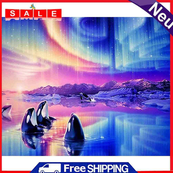 Aurora Oil Paint By Numbers Kits Canvas Picture Wall Art DIY Craft Gift Whale