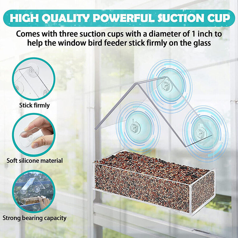 House Clear Window Viewing Bird Feeder Triangular Suction Cup Bird Feeder