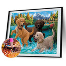 5D DIY Puppies Full Round Drill Diamond Painting Kit Art Craft Home Wall Decor