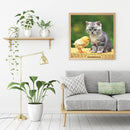 5D DIY Full Drill Diamond Painting Chicken Cat Cross Stitch Embroidery Kits
