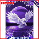 Oil Painting By Number Night Owl Oil Digital Picture Home Wall Decor for Gift