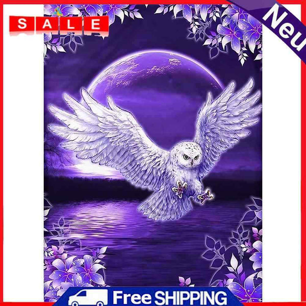 Oil Painting By Number Night Owl Oil Digital Picture Home Wall Decor for Gift