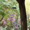 Decorative Lamp Hanging Outdoor Decor Garden Lights Wind Chimes LED Light