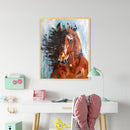Fine Horse Oil Paint By Numbers Kits DIY Canvas Wall Picture Craft Home Decor