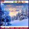 Canvas Paint By Numbers Snow Forest Oil Hand Painted Drawing Kit Home Decoration
