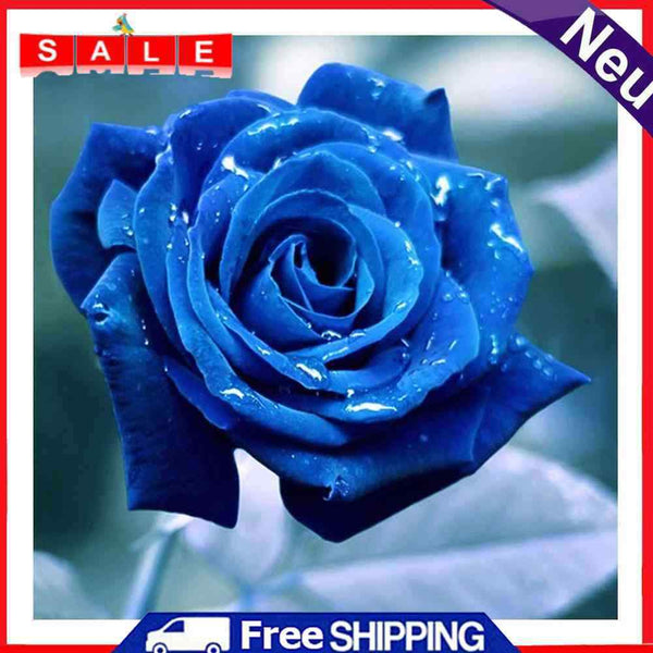 aediea 5D Full Drill Diamond Painting Romantic Landscape Crystal Embroidery