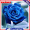 aediea 5D Full Drill Diamond Painting Romantic Landscape Crystal Embroidery