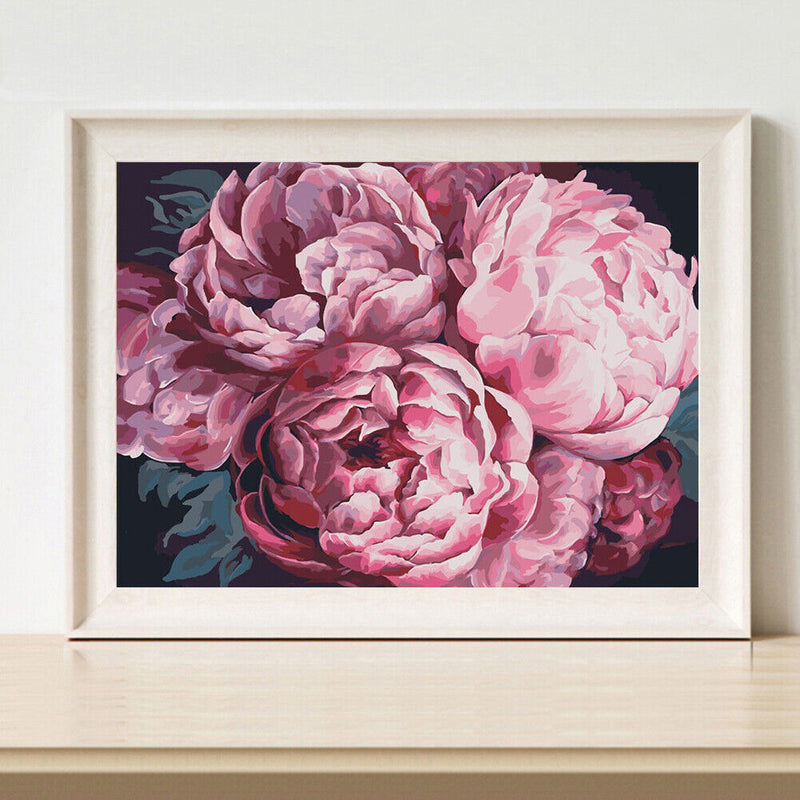 DIY Paint By Number Kit Pink Peony Flowers No Frame for Home Decoration Art