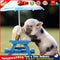 5D DIY Full Drill Diamond Painting Pig Cross Stitch Embroidery Kit (1) Newly