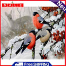 DIY Paint By Number Kit Snow Bird Animal Acrylic Paint Art Craft Decoration Gift