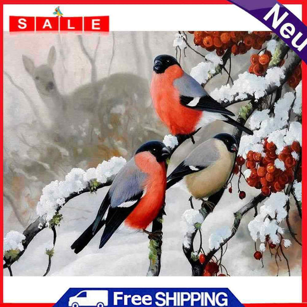 DIY Paint By Number Kit Snow Bird Animal Acrylic Paint Art Craft Decoration Gift