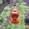 Plastic Bird Water Feeder Bottle Hanging Flower Hummingbird Feeder (Red)
