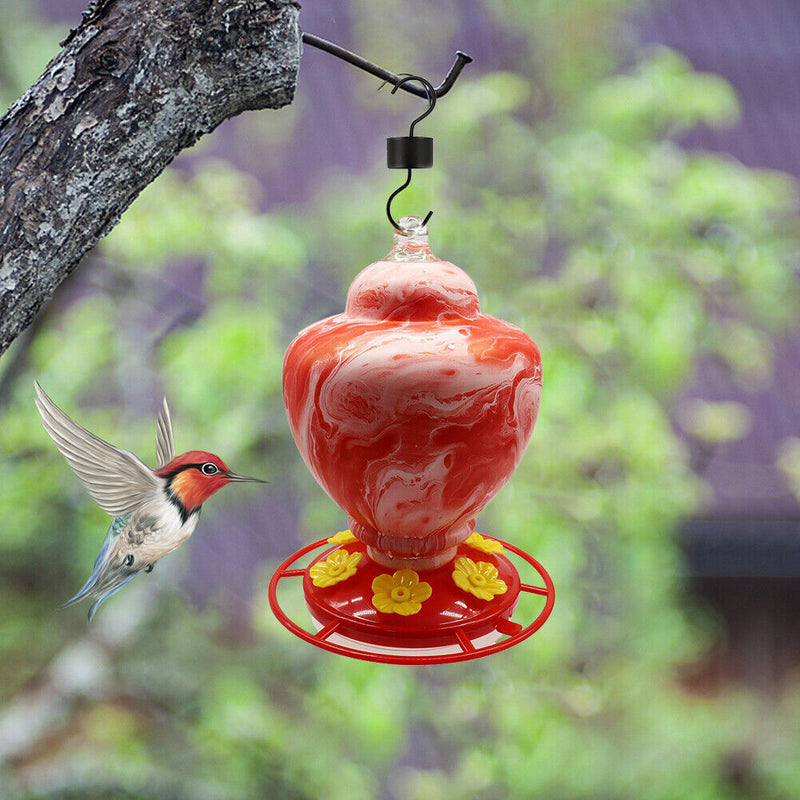 Plastic Bird Water Feeder Bottle Hanging Flower Hummingbird Feeder (Red)