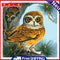 DIY Paint By Number Kit Owl Animals Acrylic Paint Home Office Art Craft Gifts