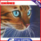 Red Cat 5D Diamond Painting Embroidery DIY Craft Cross Stitch Home Decor