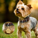 Cat Anti-lost Footprint Pet ID Tag Dogs Name Tags Pendant Dog Collar