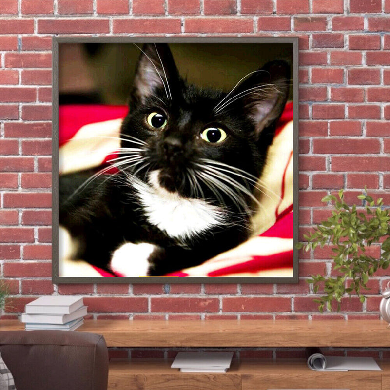 Diamond Painting Long Whisker Black Cat Full Round Wall Picture Kit 30x30cm