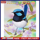 Bird on Branch Oil Paint By Numbers Kit DIY Acrylic Painting on Canvas Draw