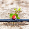 100x Adjustable Garden Drip Irrigation Nozzle Dripper Watering Sprinkler Em