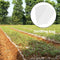 100pcs Biodegradable Nursery Plant Grow Bag Seedling Grow Pouch (20x22cm)