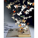 Butterfly Published Book Oil Color by Numbers Kit Frameless Drawing Picture