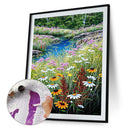 Paint By Numbers for Adults Beginner Flower Home Wall Living Bedroom Decoration