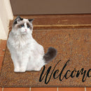 Cute Animal Letter Entrance Rugs Non-Slip Front Doormats Indoor Outdoor (4)