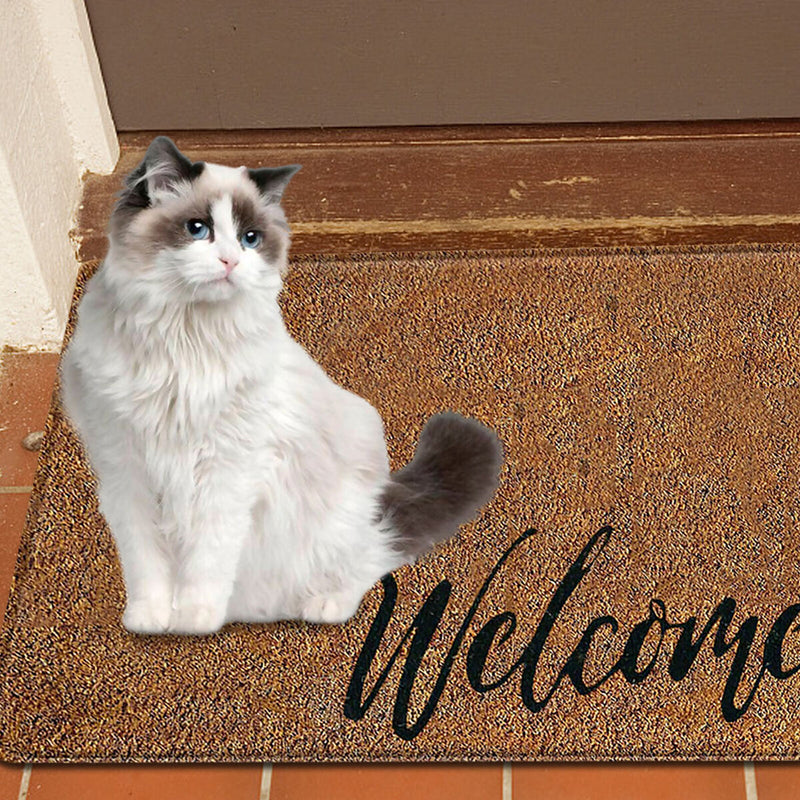 Cute Animal Letter Entrance Rugs Non-Slip Front Doormats Indoor Outdoor (4)