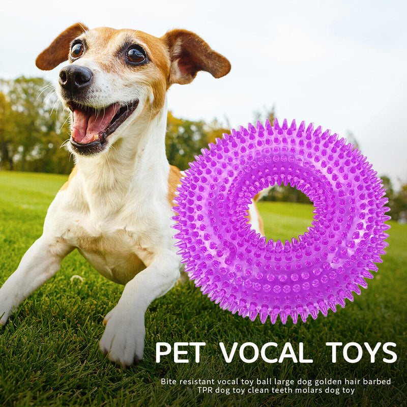 Bite Resistant Golden Dog Retriever Circle Ring Thorn Molar Ball (S Purple)