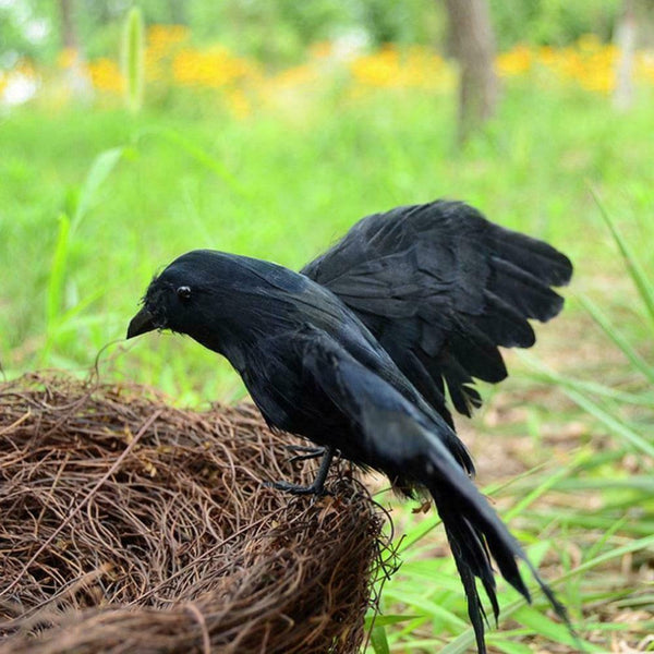2Pcs Simulation Crow Black Crow Props Feather Birds Home Horror Decor J2Z2