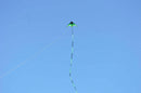 Large Delta Kite For Kids And Adults Single Line Easy Kite w Fly Handle To S9S8