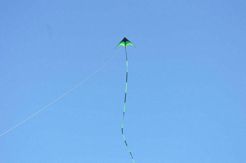 Large Delta Kite For Kids And Adults Single Line Easy Kite w Fly Handle To S9S8