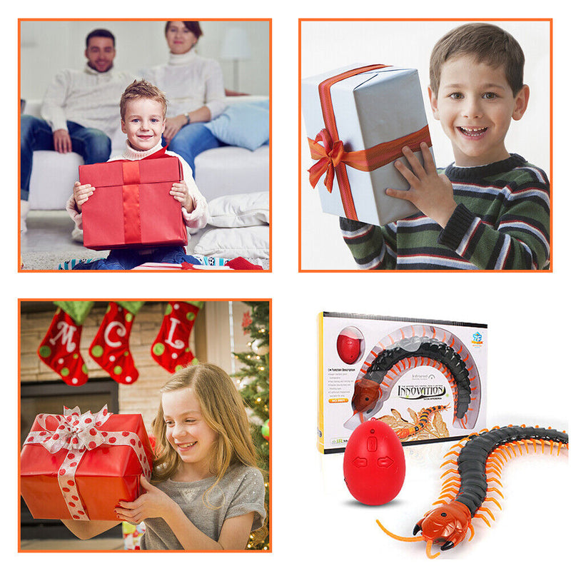 Remote Control Centipede Cat Interactive Toys with Egg Funny Toys (Black)