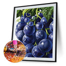 5D Diamond Painting DIY Grape Full Round Drill Mosaic Decoration (E1241)